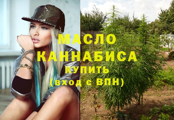 PSILOCYBIN Ельня