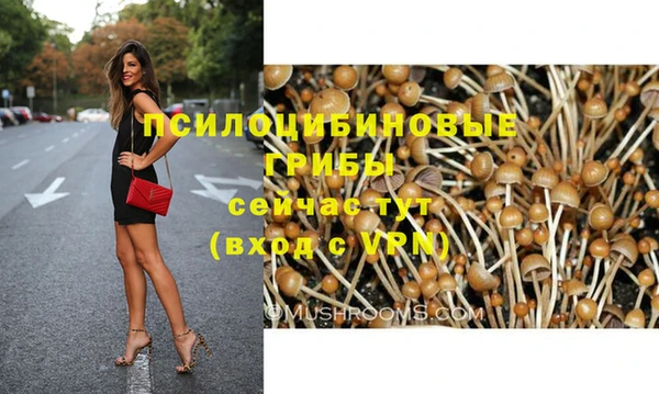 PSILOCYBIN Ельня