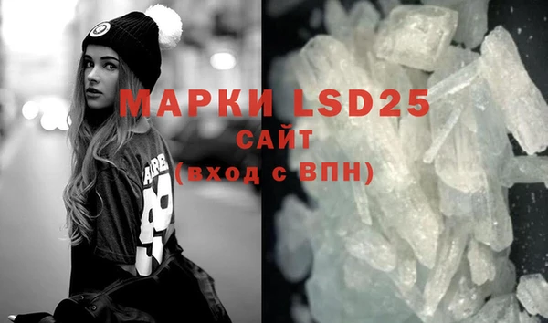 PSILOCYBIN Ельня