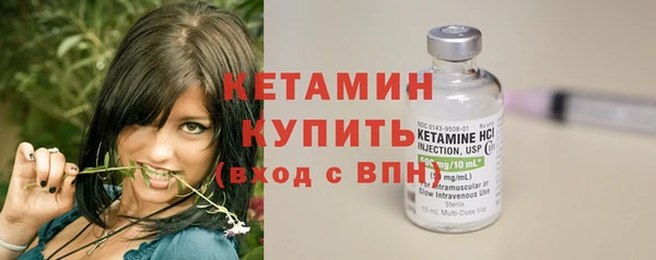 PSILOCYBIN Ельня