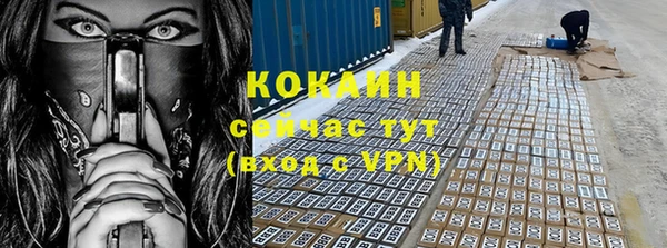 PSILOCYBIN Ельня