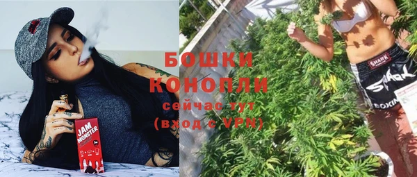 молекула духа Ижевск