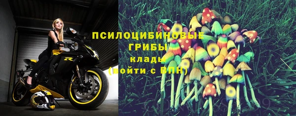 PSILOCYBIN Ельня