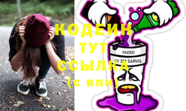 PSILOCYBIN Ельня
