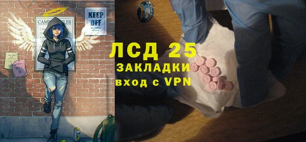 PSILOCYBIN Ельня