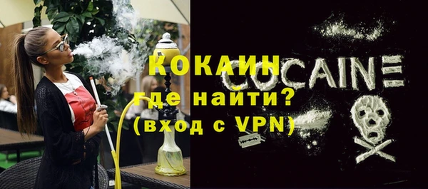 PSILOCYBIN Ельня