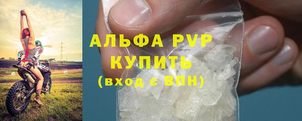 PSILOCYBIN Ельня