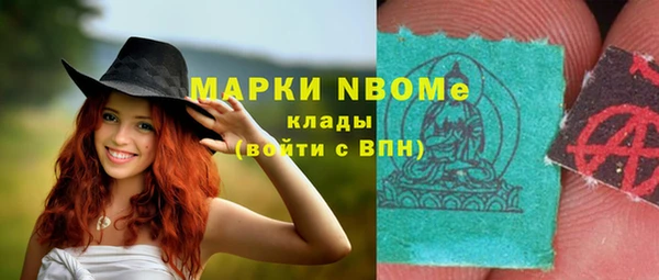 PSILOCYBIN Ельня