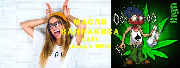 PSILOCYBIN Ельня