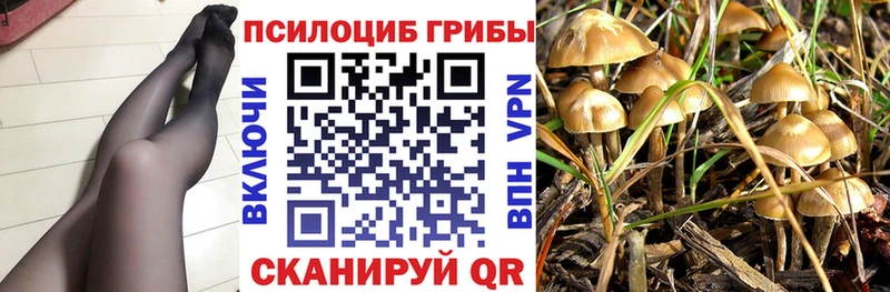 закладка  Коряжма  Галлюциногенные грибы MAGIC MUSHROOMS 
